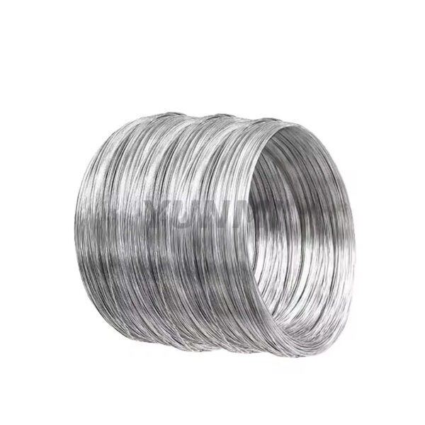 Stainless Steel Wire