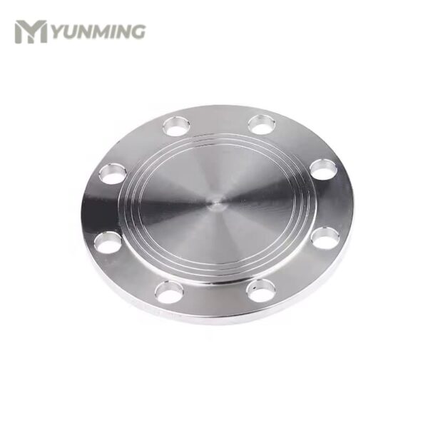 Stainless steel blind flange (BL type) with raised face and precision-drilled bolt holes
