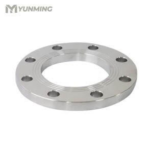 Stainless steel plate flange (PL) with flat design and bolt holes for pipe welding